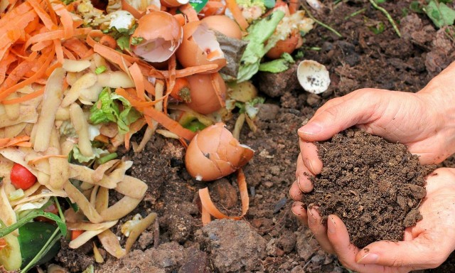 Composting With Kitchen Scraps: From Fridge to Stove to Garden